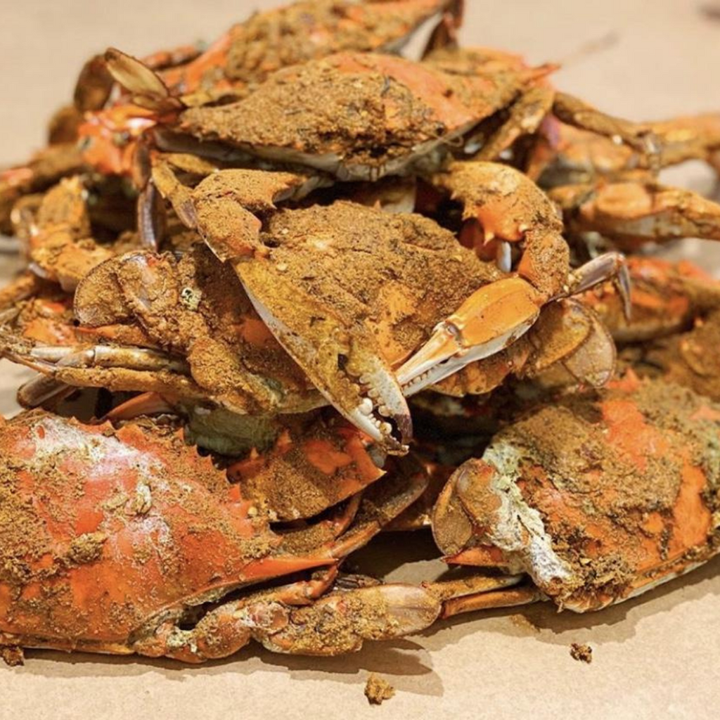 Cold Extra Large Male Steamed Crabs